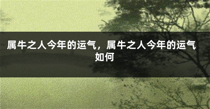 属牛之人今年的运气，属牛之人今年的运气如何