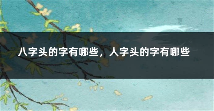 八字头的字有哪些，人字头的字有哪些