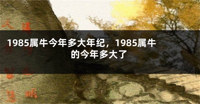 1985属牛今年多大年纪,1985属牛的今年多大了