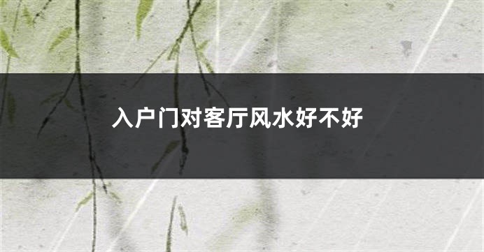 入户门对客厅风水好不好
