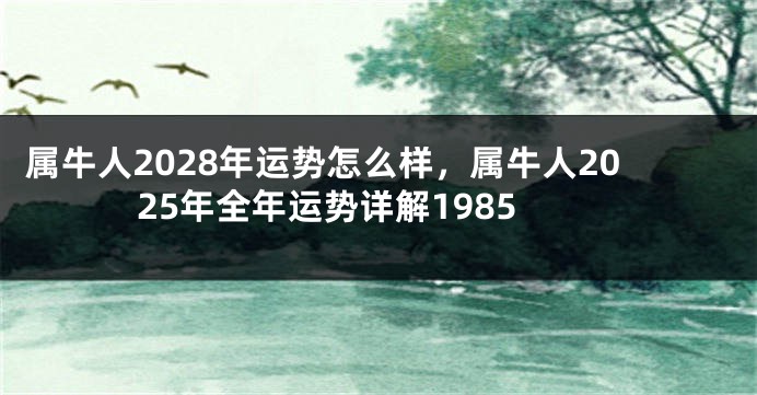 属牛人2028年运势怎么样，属牛人2025年全年运势详解1985