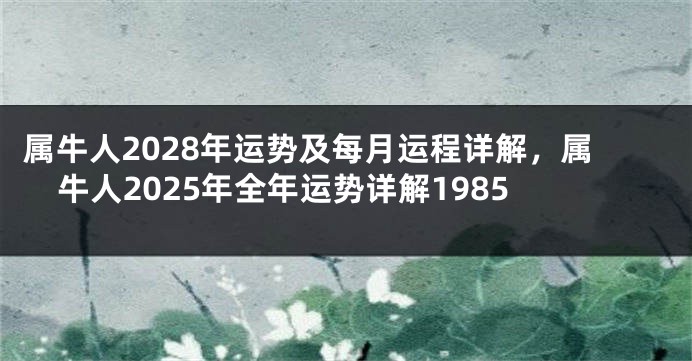 属牛人2028年运势及每月运程详解，属牛人2025年全年运势详解1985