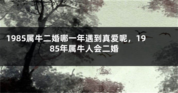 1985属牛二婚哪一年遇到真爱呢，1985年属牛人会二婚