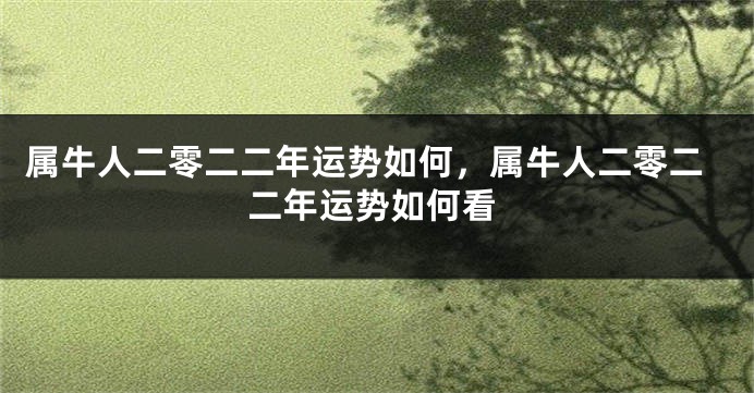 属牛人二零二二年运势如何,属牛人二零二二年运势如何看