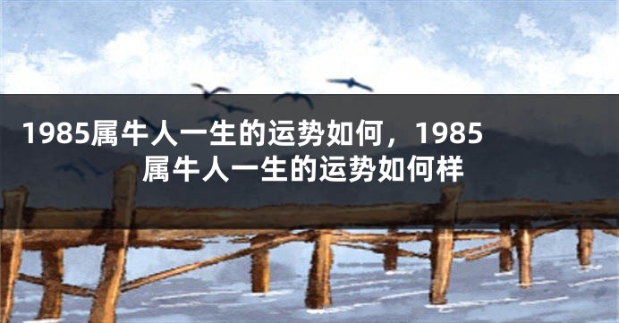 1985属牛人一生的运势如何，1985属牛人一生的运势如何样