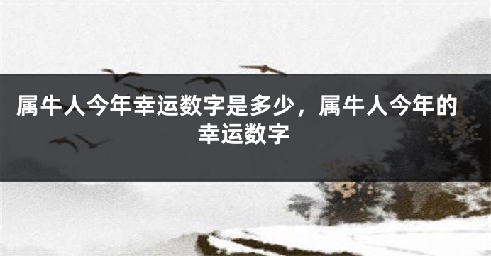 属牛人今年幸运数字是多少，属牛人今年的幸运数字