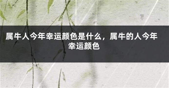 属牛人今年幸运颜色是什么,属牛的人今年幸运颜色
