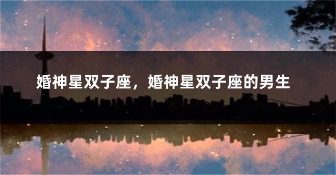 婚神星双子座，婚神星双子座的男生