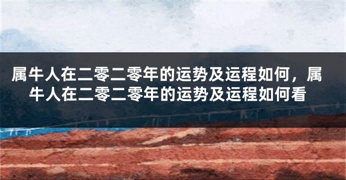 属牛人在二零二零年的运势及运程如何，属牛人在二零二零年的运势及运程如何看
