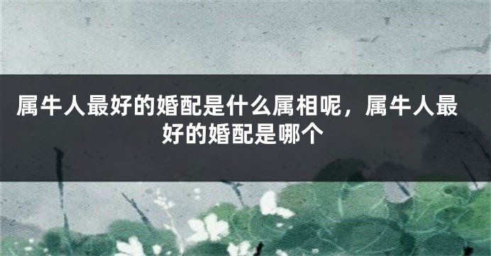 属牛人最好的婚配是什么属相呢，属牛人最好的婚配是哪个