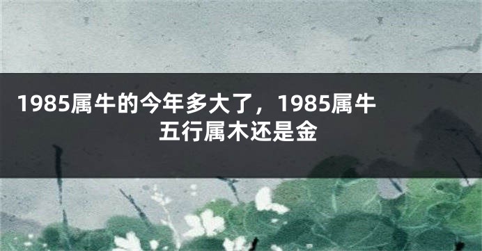 1985属牛的今年多大了，1985属牛五行属木还是金