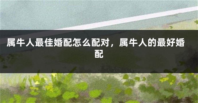 属牛人最佳婚配怎么配对，属牛人的最好婚配
