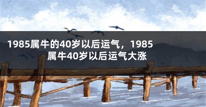 1985属牛的40岁以后运气，1985属牛40岁以后运气大涨