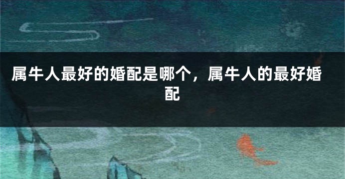属牛人最好的婚配是哪个，属牛人的最好婚配