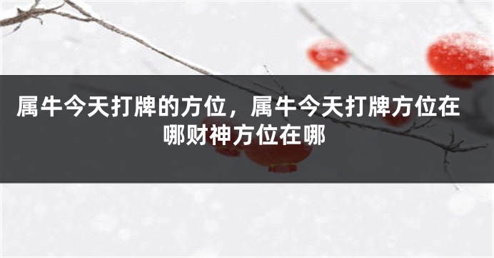 属牛今天打牌的方位，属牛今天打牌方位在哪财神方位在哪