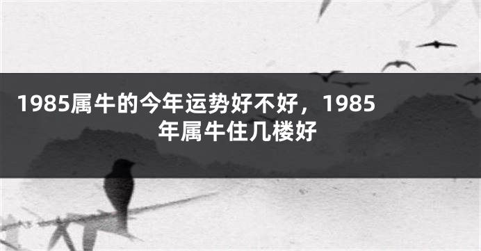 1985属牛的今年运势好不好，1985年属牛住几楼好