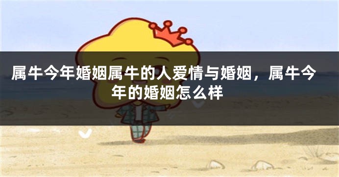 属牛今年婚姻属牛的人爱情与婚姻,属牛今年的婚姻怎么样