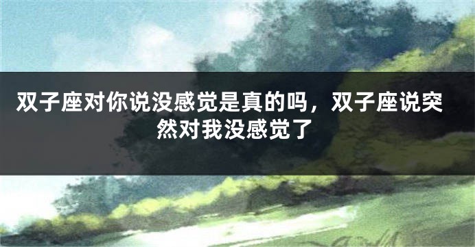 双子座对你说没感觉是真的吗，双子座说突然对我没感觉了