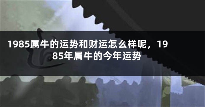 1985属牛的运势和财运怎么样呢,1985年属牛的今年运势