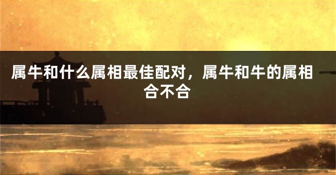 属牛和什么属相最佳配对，属牛和牛的属相合不合