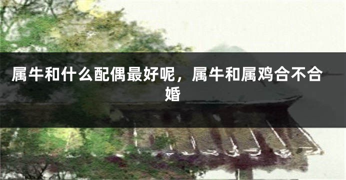 属牛和什么配偶最好呢，属牛和属鸡合不合婚
