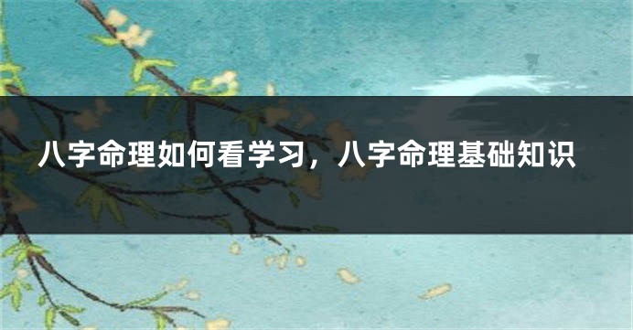 八字命理如何看学习，八字命理基础知识