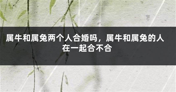 属牛和属兔两个人合婚吗，属牛和属兔的人在一起合不合
