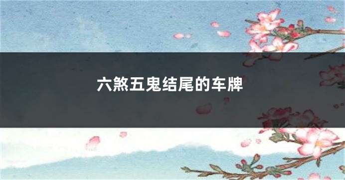 六煞五鬼结尾的车牌