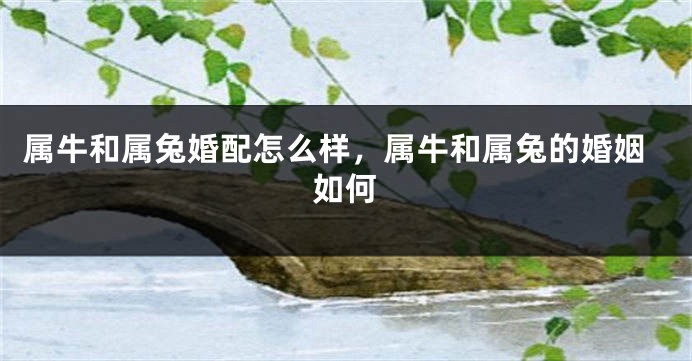 属牛和属兔婚配怎么样，属牛和属兔的婚姻如何