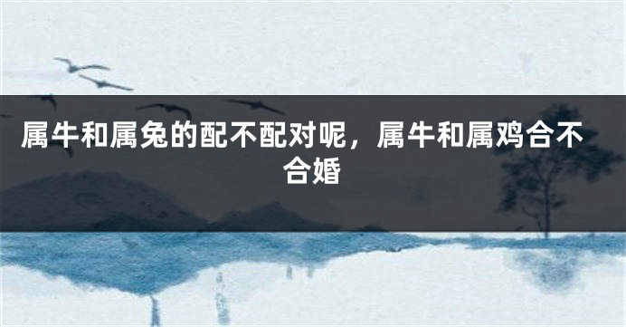 属牛和属兔的配不配对呢，属牛和属鸡合不合婚