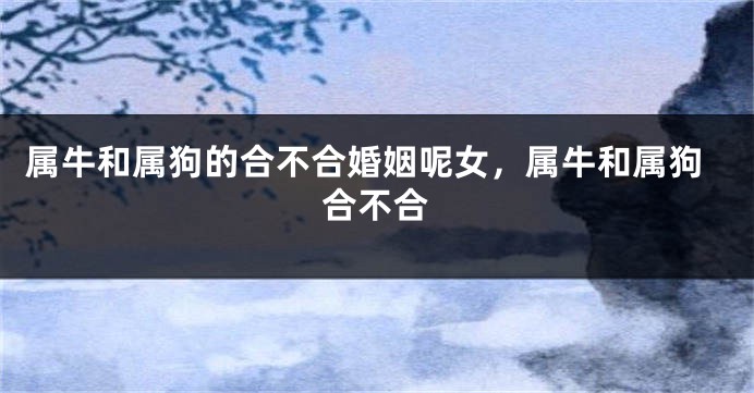 属牛和属狗的合不合婚姻呢女，属牛和属狗合不合