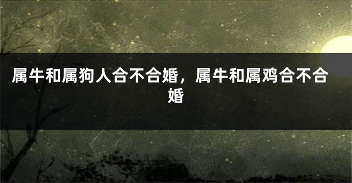 属牛和属狗人合不合婚，属牛和属鸡合不合婚
