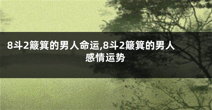 8斗2簸箕的男人命运,8斗2簸箕的男人感情运势