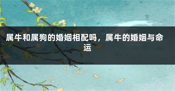 属牛和属狗的婚姻相配吗，属牛的婚姻与命运