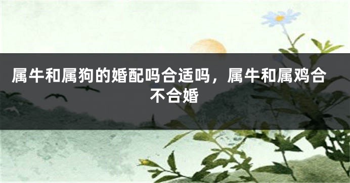 属牛和属狗的婚配吗合适吗，属牛和属鸡合不合婚