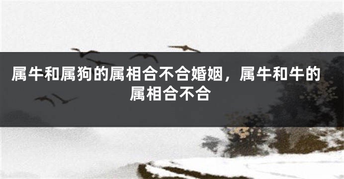 属牛和属狗的属相合不合婚姻，属牛和牛的属相合不合