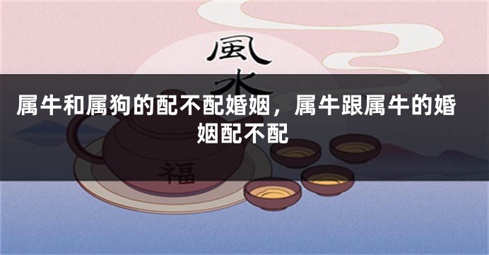 属牛和属狗的配不配婚姻，属牛跟属牛的婚姻配不配