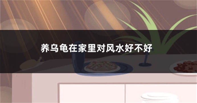 养乌龟在家里对风水好不好