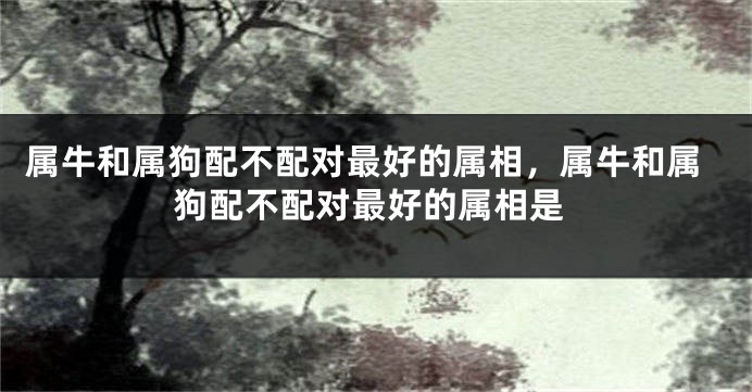 属牛和属狗配不配对最好的属相，属牛和属狗配不配对最好的属相是
