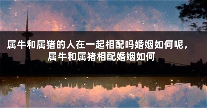 属牛和属猪的人在一起相配吗婚姻如何呢，属牛和属猪相配婚姻如何
