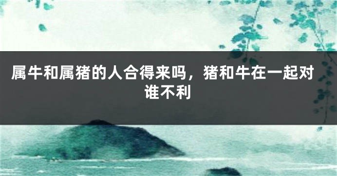 属牛和属猪的人合得来吗，猪和牛在一起对谁不利
