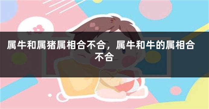 属牛和属猪属相合不合，属牛和牛的属相合不合