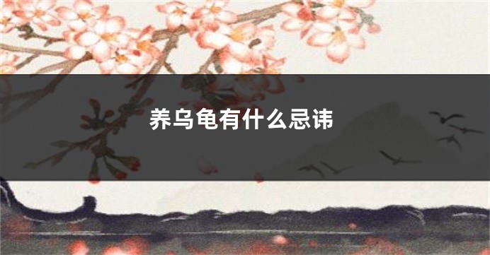 养乌龟有什么忌讳