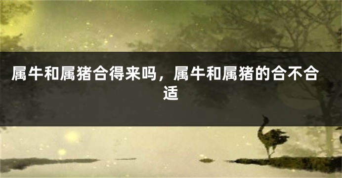 属牛和属猪合得来吗，属牛和属猪的合不合适