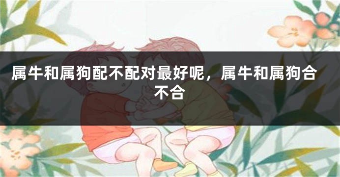 属牛和属狗配不配对最好呢，属牛和属狗合不合