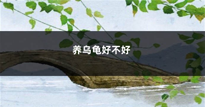 养乌龟好不好