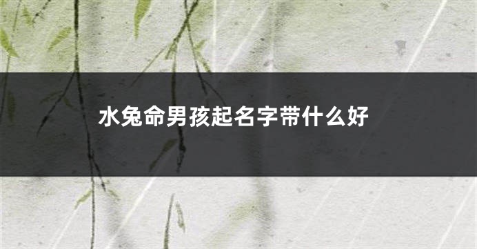 水兔命男孩起名字带什么好