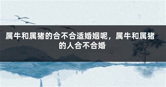属牛和属猪的合不合适婚姻呢，属牛和属猪的人合不合婚
