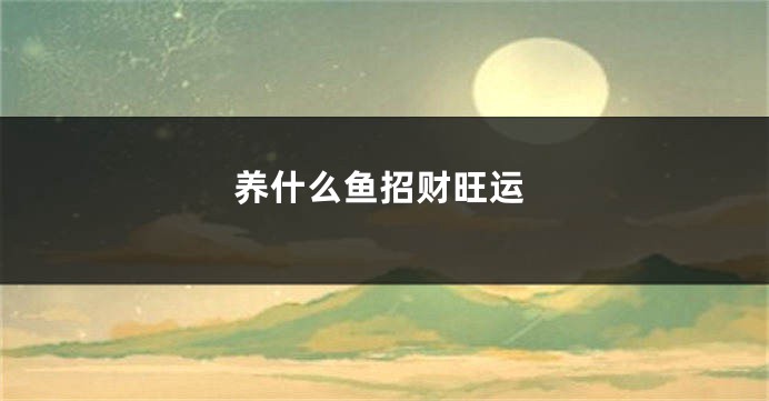 养什么鱼招财旺运