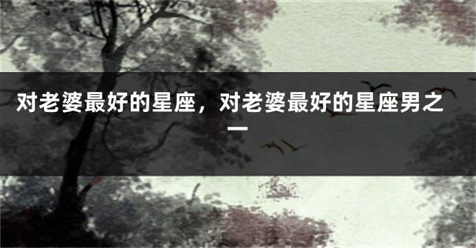 对老婆最好的星座，对老婆最好的星座男之一
